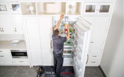 Why Is the Fridge Not Cold but the Freezer Is?