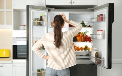Easy Sub Zero Refrigerator Repair Tips in Houston
