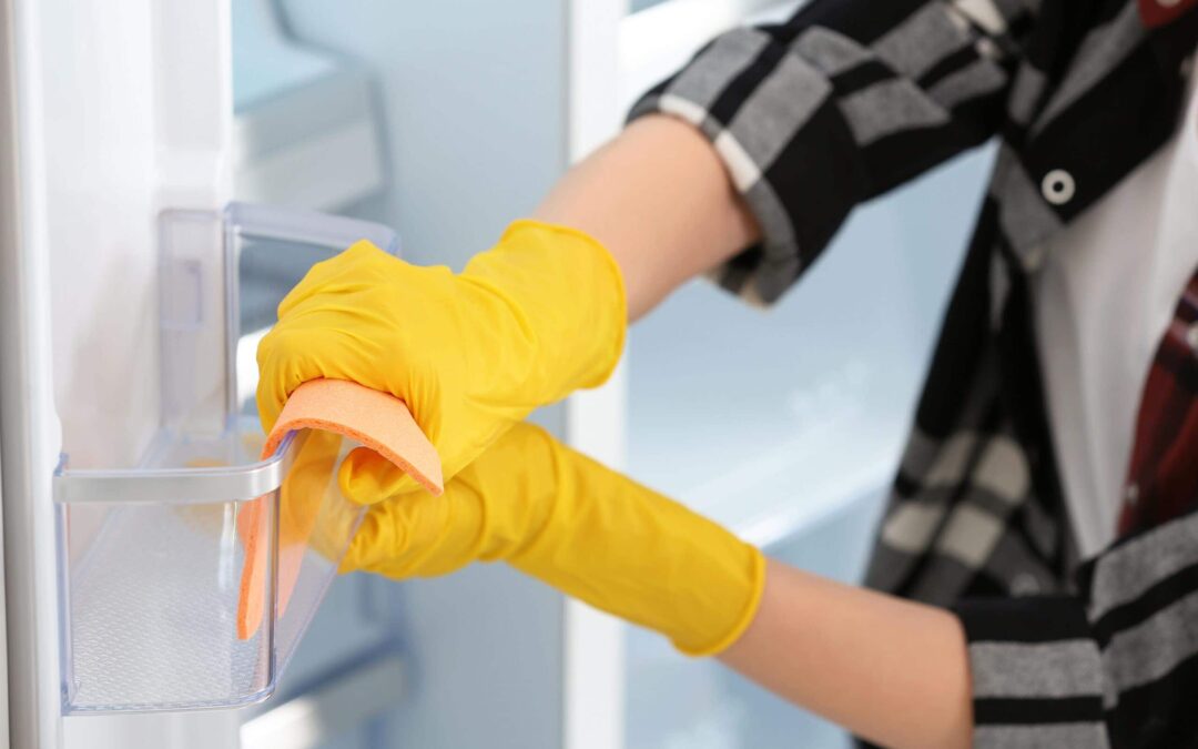 Spring Sub Zero Appliance Maintenance: Maximizing Productivity
