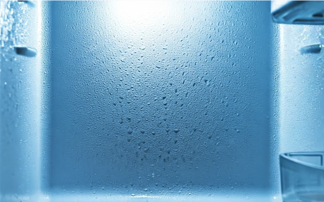 Excess Condensation in Fridge: Causes & Prevention Tips